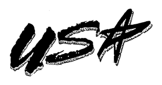 USA logo