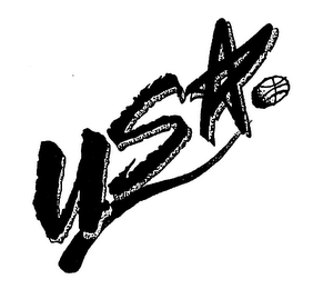 USA logo