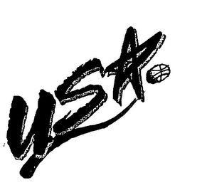 USA logo