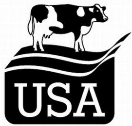 USA logo