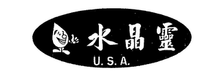 U.S.A. logo