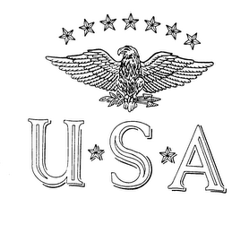 USA logo