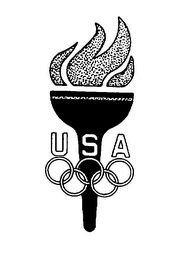 USA logo