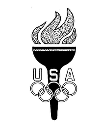 USA logo