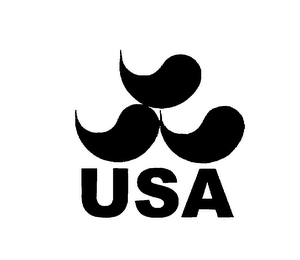 USA logo