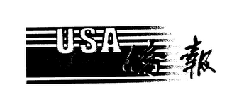 USA logo