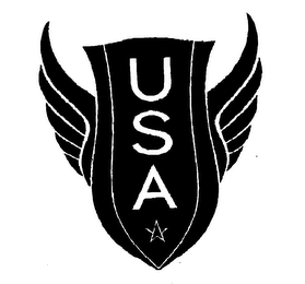 USA logo