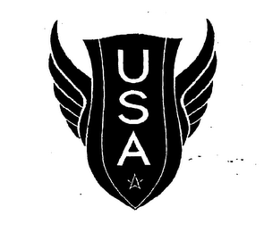 USA logo