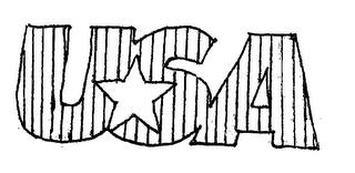 USA logo