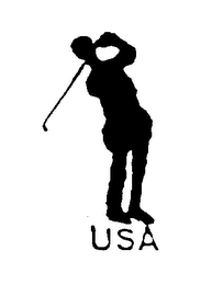 USA logo