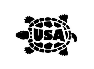 USA logo