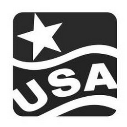 USA logo