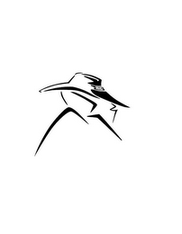 USA logo