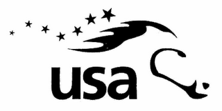 USA logo