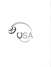 USA logo