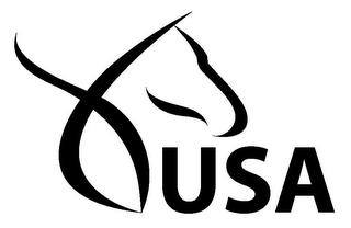 USA logo