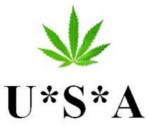 USA logo