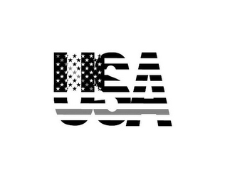 USA logo