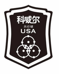 USA logo