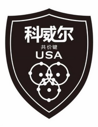 USA logo