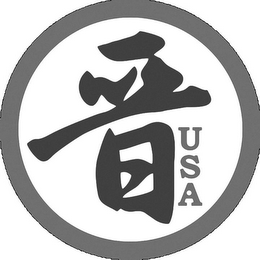 USA logo
