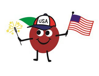 USA logo