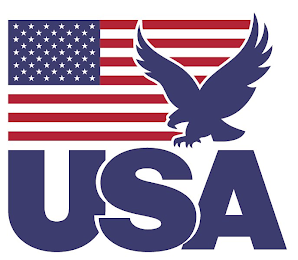 USA logo