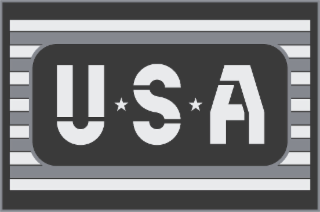 USA logo