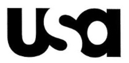 USA logo