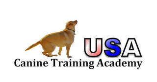 USA CANINE TRAINING ACADEMY logo