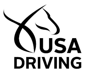 USA DRIVING logo