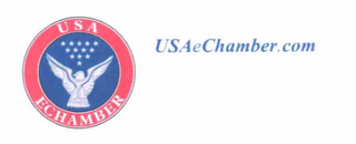 USA ECHAMBER USAECHAMBER.COM logo