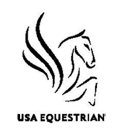 USA EQUESTRIAN logo