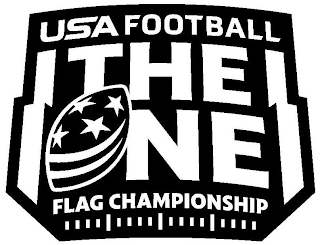 USA FOOTBALL THE ONE FLAG CHAMPIONSHIP logo