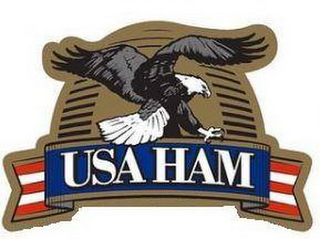 USA HAM logo