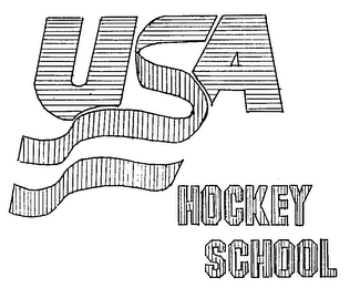 USA HOCKEY SCHOOL logo