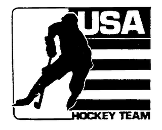 USA HOCKEY TEAM logo