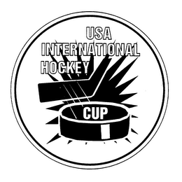 USA INTERNATIONAL CUP logo