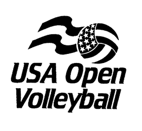USA OPEN VOLLEYBALL logo