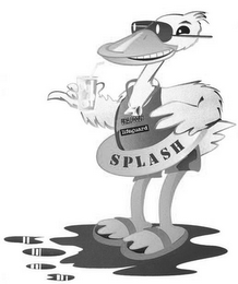 USA POOLS LIFEGUARD SPLASH logo