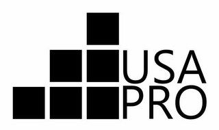 USA PRO logo
