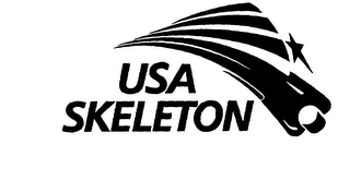 USA SKELETON logo