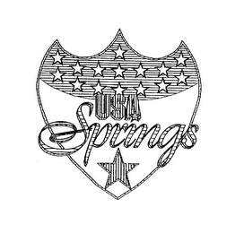 USA SPRINGS logo