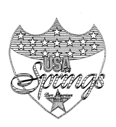 USA SPRINGS PURE AMERICAN WATER logo
