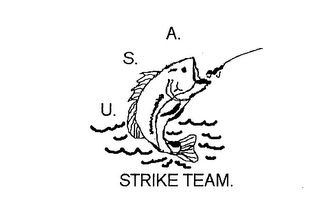 U.S.A. STRIKE TEAM. logo