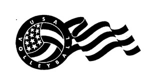 USA VOLLEYBALL logo