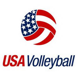 USA VOLLEYBALL logo