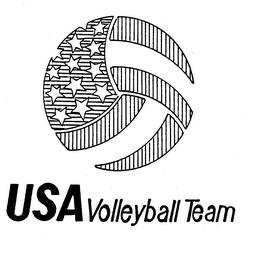 USA VOLLEYBALL TEAM logo