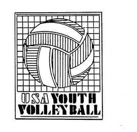 USA YOUTH VOLLEYBALL logo