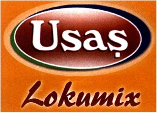 USAS LOKUMIX logo